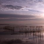 Albufera.....