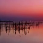 Albufera