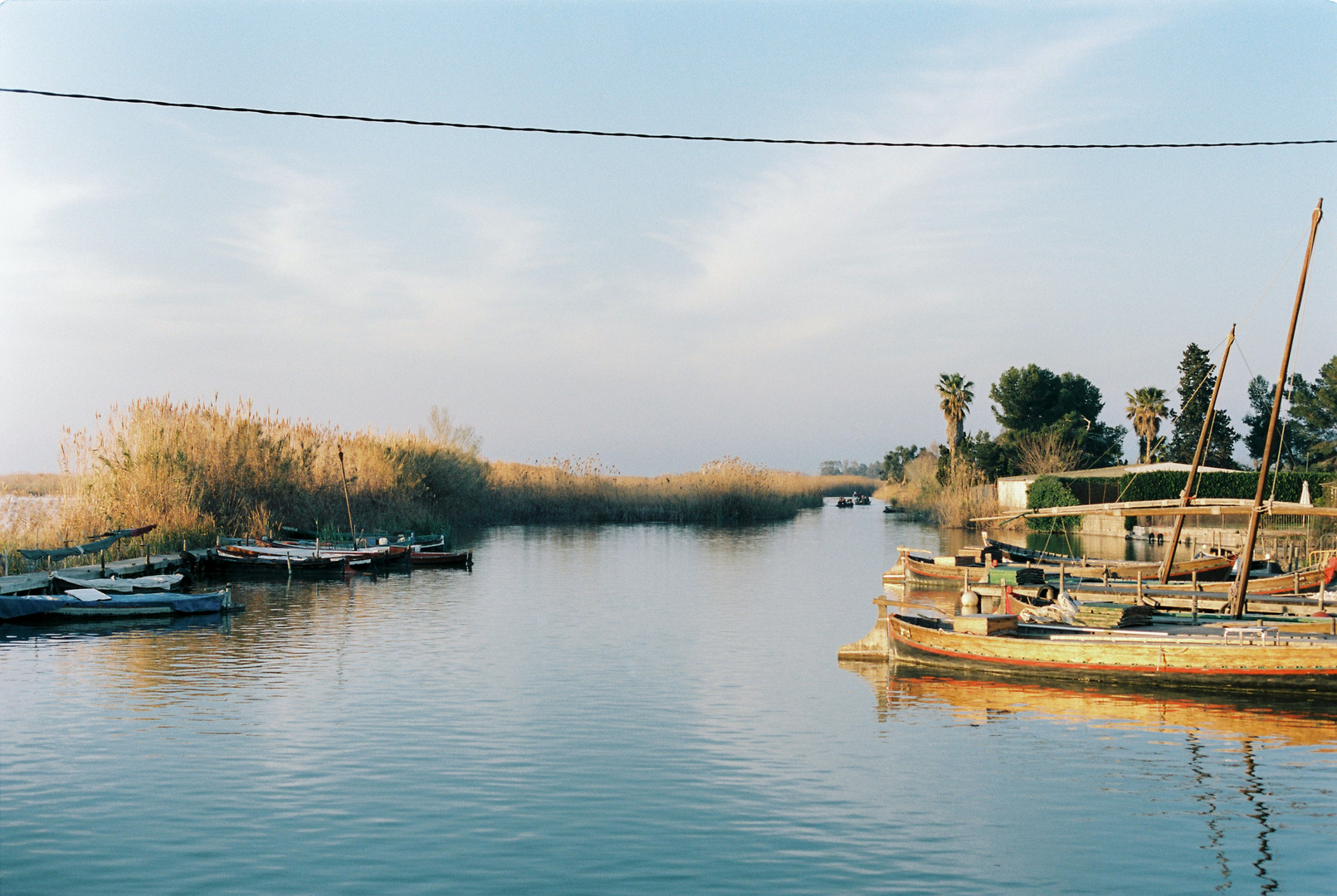 Albufera en analógico 