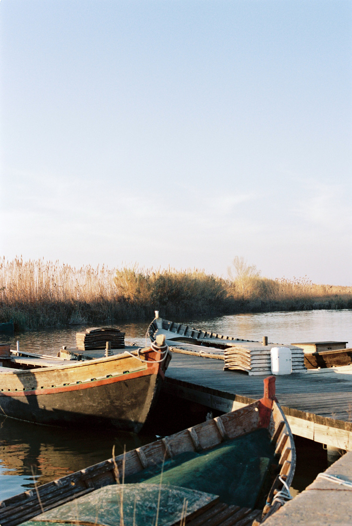 Albufera en analógico 