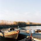 Albufera en analógico 