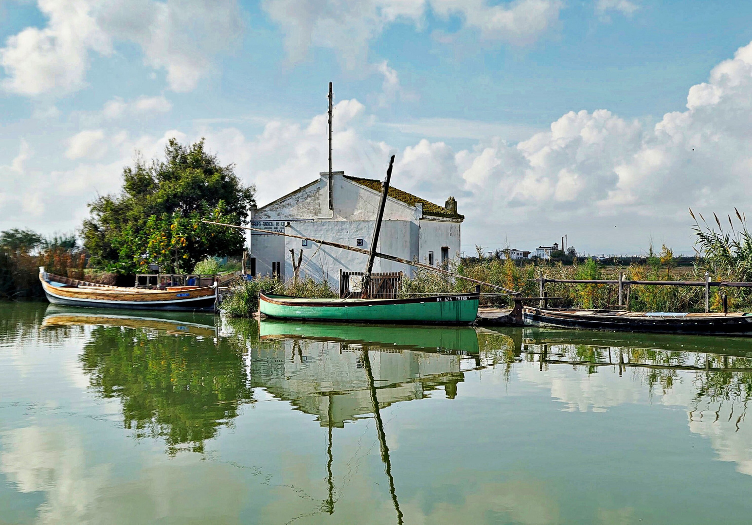 Albufera 