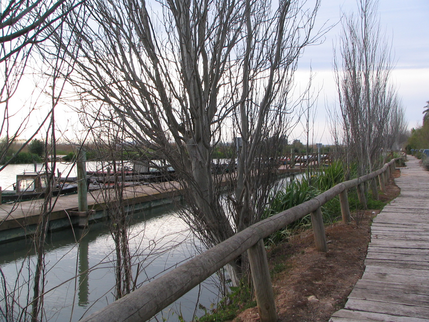 Albufera.