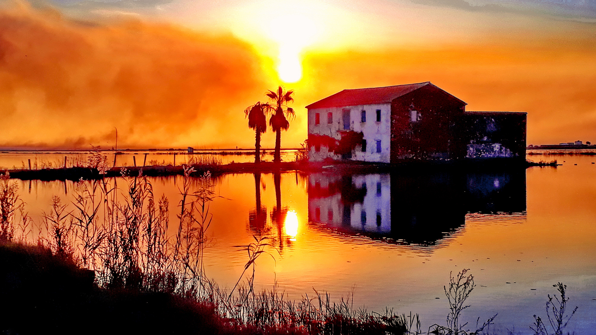 Albufera Natur Park, Valencia