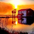 Albufera Natur Park, Valencia