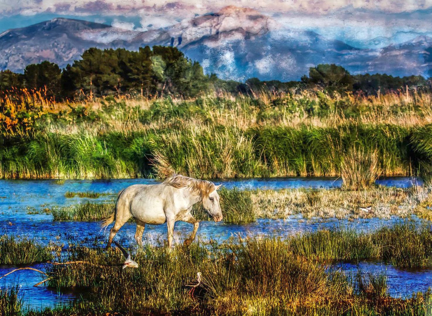 "ALBUFERA NATURPARK" (fast gemalt)