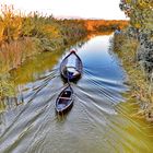 Albufera Naturpark Wasserwege