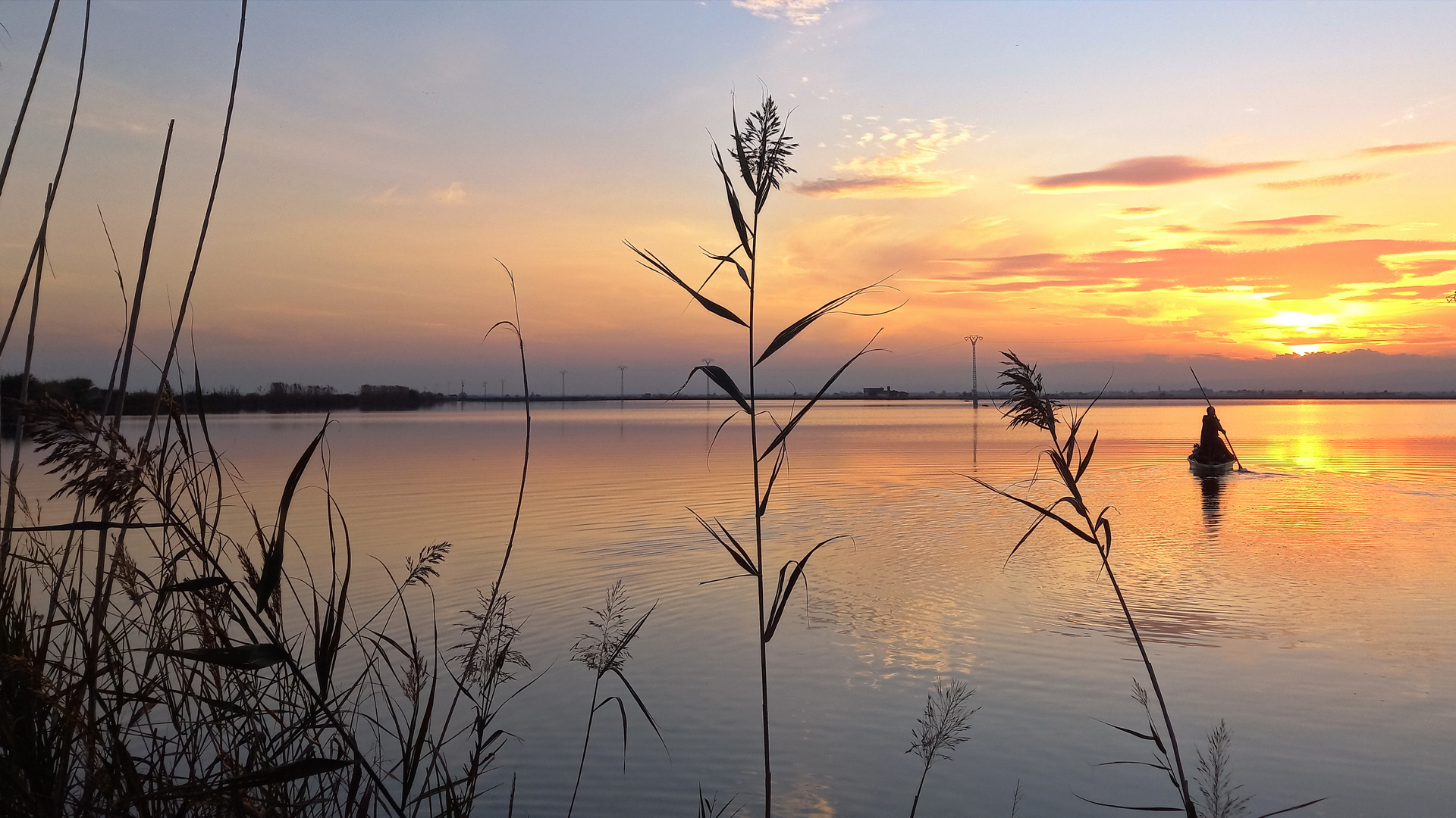 Albufera Reisanbaugebiet