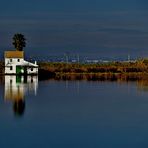 Albufera Reisfelder