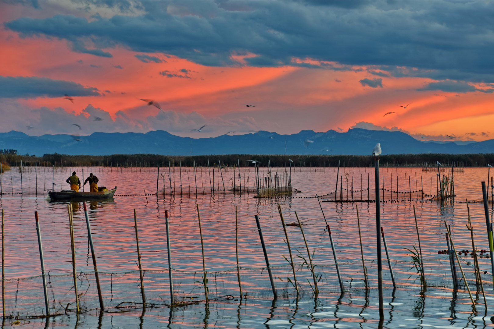 Albufera See am Abend