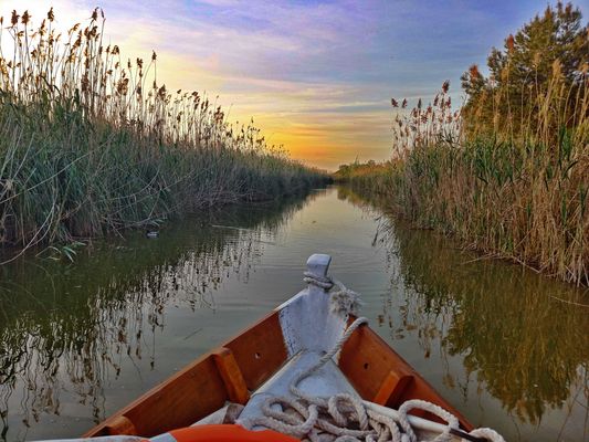 Albufera See Tour