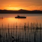 Albufera sunset