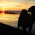 Albufera Sunset