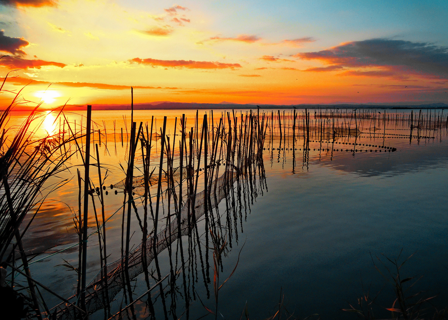 Albufera Sunset