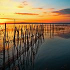 Albufera Sunset