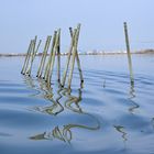 ALBUFERA, VALENCIA