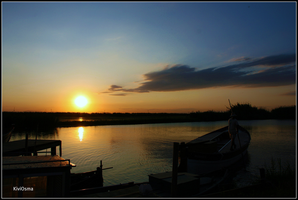 ALBUFERA (VALENCIA)