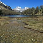 Albula Frühling