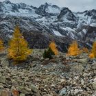 Albulapass                     DSC_3032