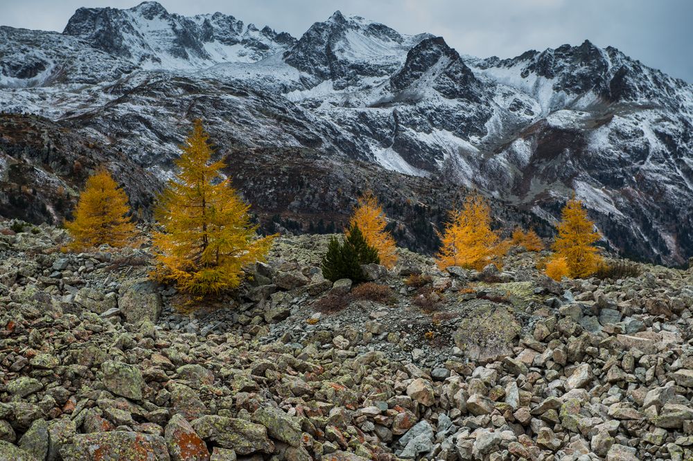 Albulapass                     DSC_3032