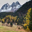 Albulapass, Graubünden, Schweiz          DSC_3048