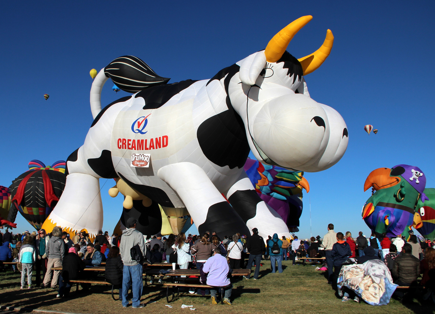 Albuquerque International Balloon Fiesta