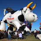 Albuquerque International Balloon Fiesta