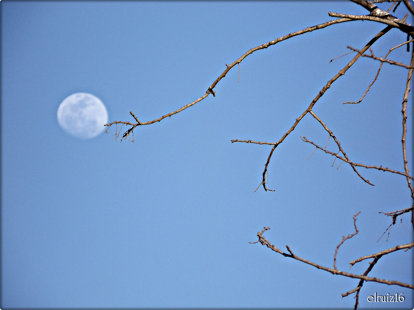 Alcanzando la Luna.