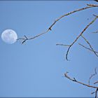 Alcanzando la Luna.