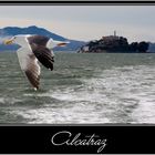 Alcatraz