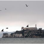 Alcatraz