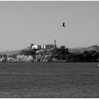 Alcatraz