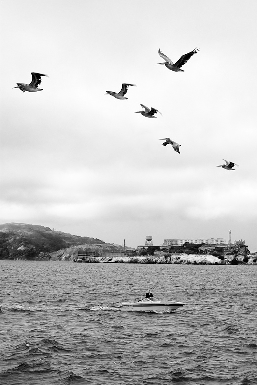 ..alcatraz..