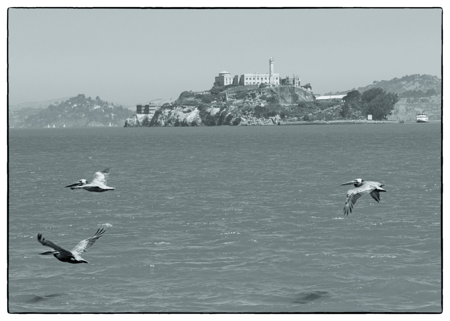 Alcatraz