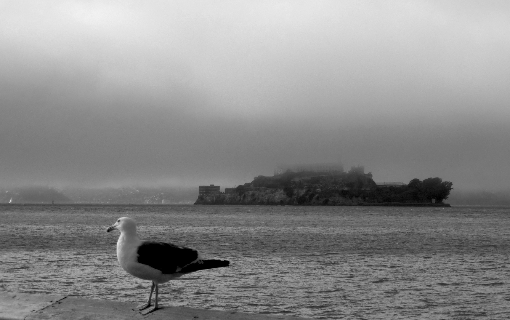 Alcatraz