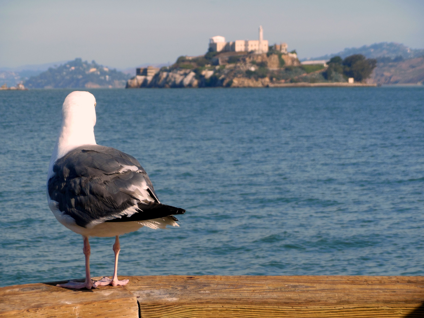 Alcatraz