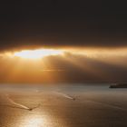 Alcatraz in sunrise 