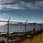 Alcatraz "Prison Yard"