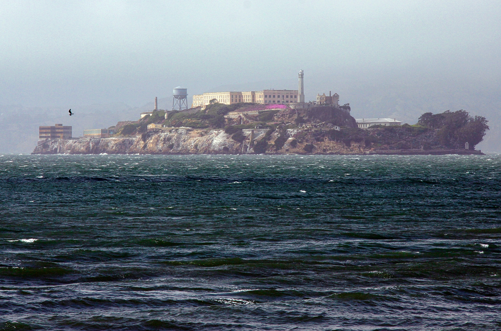 Alcatraz Triathlon DIG, RUN, SWIM