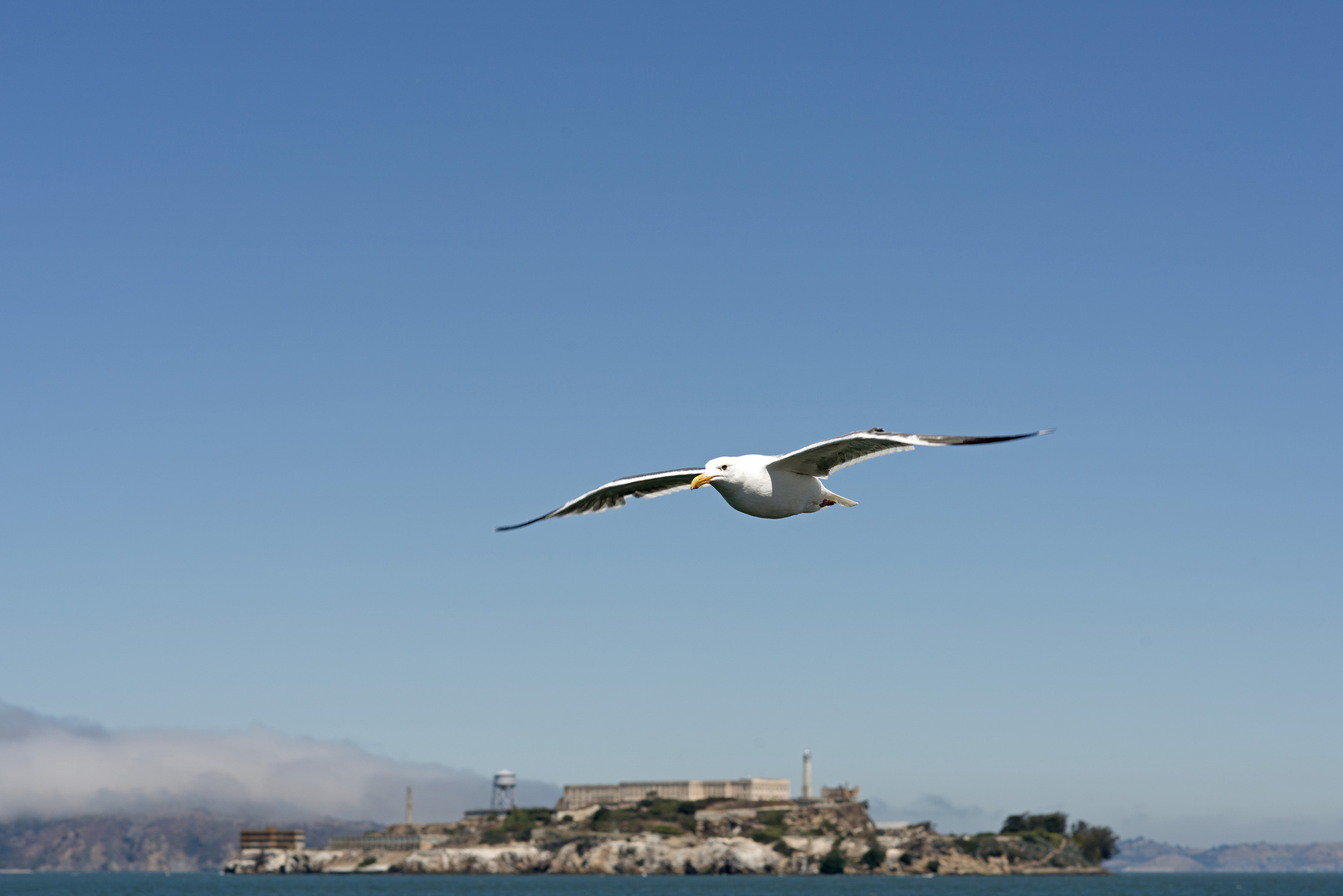 Alcatraz von der Vogelfreiperspektive