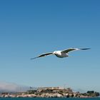 Alcatraz von der Vogelfreiperspektive