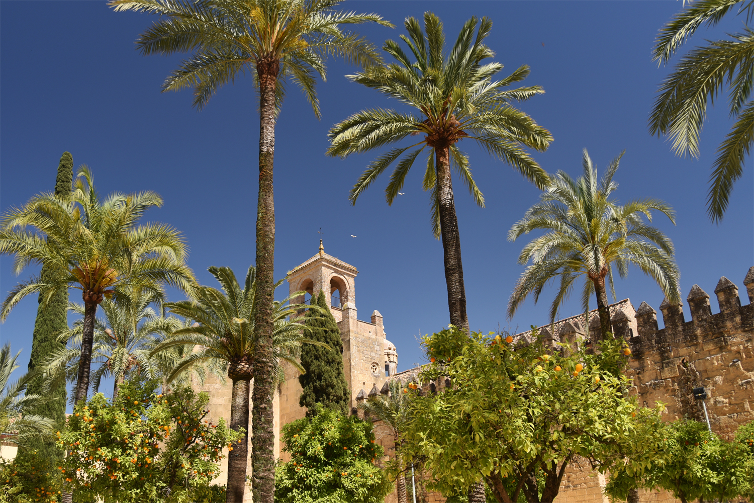 Alcázar de los Reyes Cristianos Foto & Bild spain, world, europe