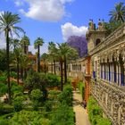 Alcazar Real Sevilla