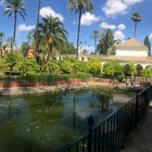 Alcazar, Sevilla (Andalusien)