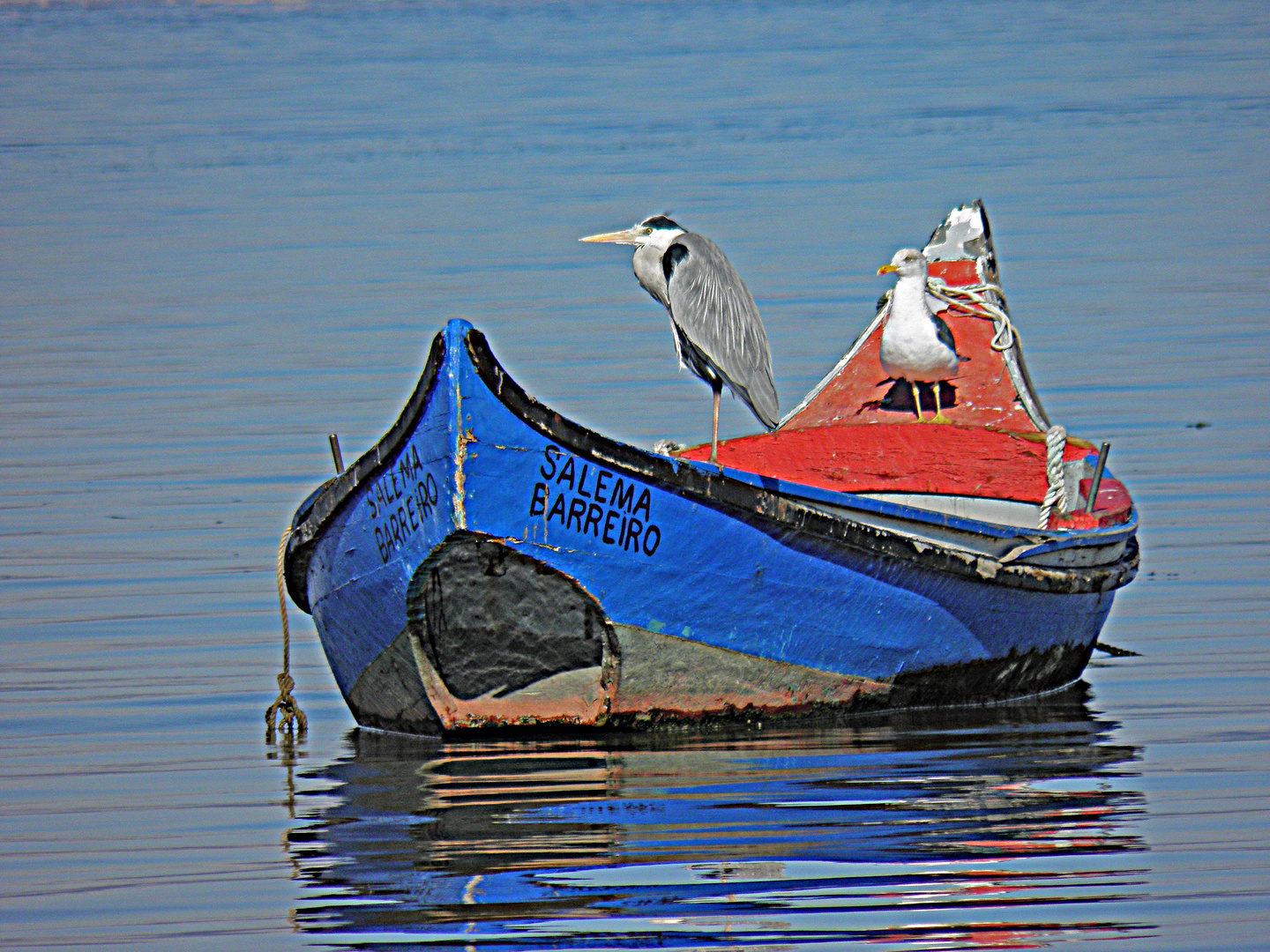 Alcochete - Watercolor on Tagus River