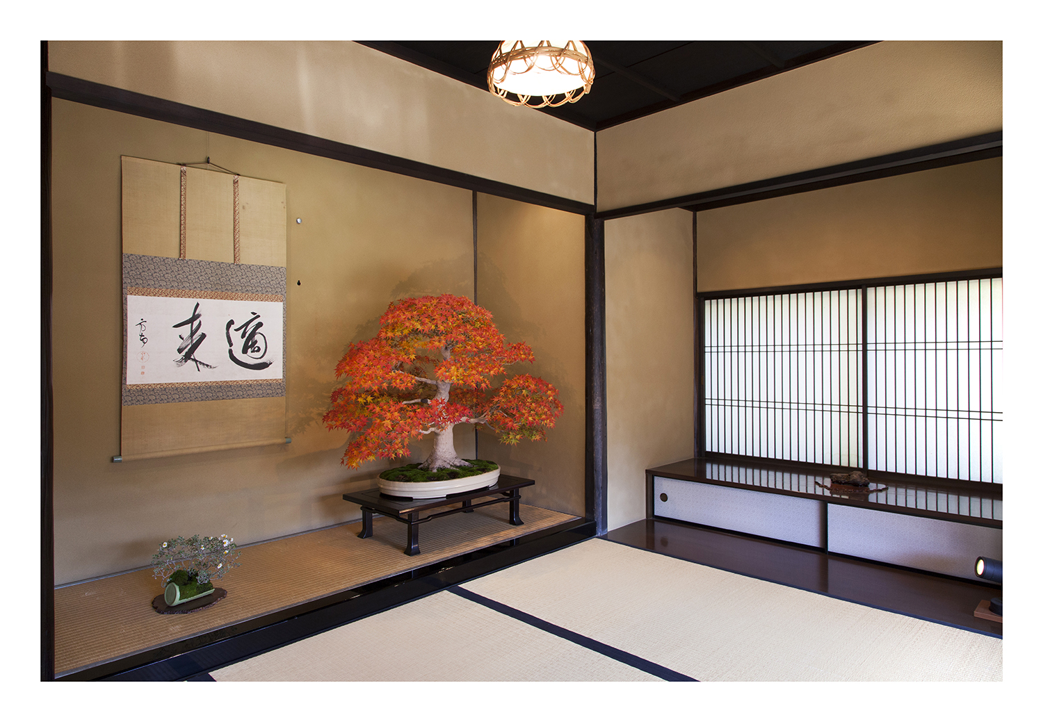 Alcove with a Bonsai