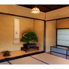 Alcove with bonsai