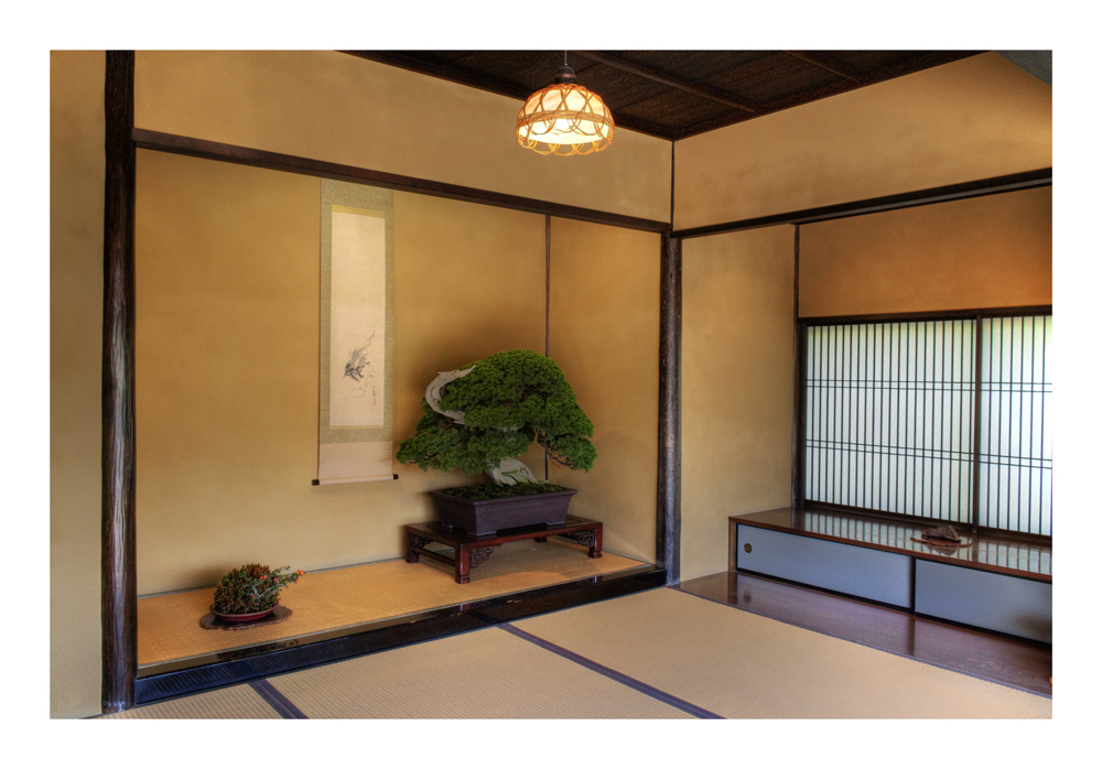 Alcove with bonsai