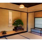 Alcove with bonsai