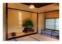 Alcove with bonsai